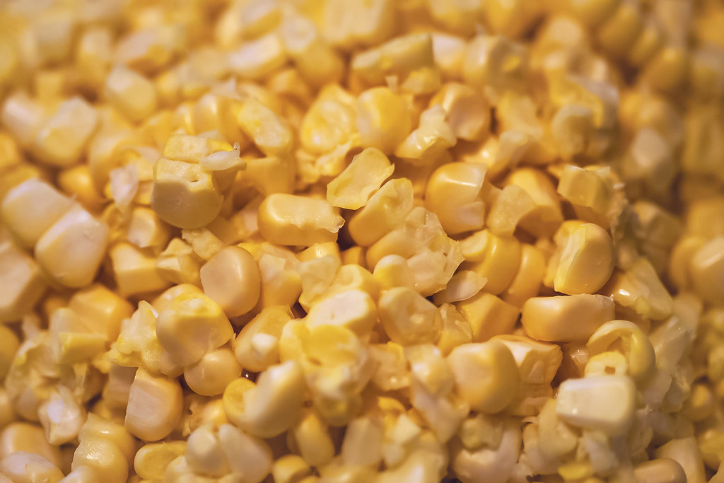 Kernel Systems: The Unsung Heroes of Modular Web Development